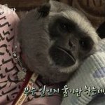<b>고딩</b> <b>선배</b>님덜
