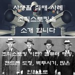 사생활 엿보는 범죄 <b>조직</b>스토킹.png