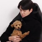 그나저나 멍멍이 <b>졸</b><b>귀</b>다ㅜㅜ