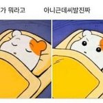 [더<b>보이즈</b>] 솔직히 저 말 맞는듯..ㅎ