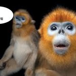 [댓글부탁해] <b>isfp</b> 있어? 나 물어볼거 있어 ㅠㅠ