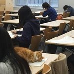 나 지금까지 브라 잘못차고 있었나