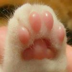 [모두드루와] 설레는 썰 <b>풀자</b>