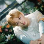 [NCT칠프] 애<b>옹</b>