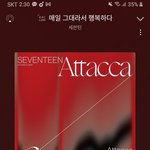 [세븐틴] 멤버들도 지금 차트 보고있을까