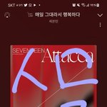 [세븐틴] 이번에도 극한 응원법이네