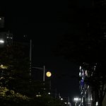 [드루와] 오늘 달 낮고 개<b>크다</b> 뭐냐