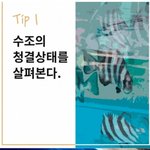 괜찮은 횟집 고르는 팁