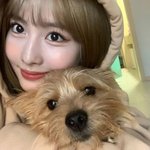 [댓글부탁해] 애플<b>정품</b> 케이스 뭔기능이 있어서 비쌈?