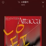 [세븐틴] 이야..차트 보는 맛이 이렇게 좋은거였니ㅠㅠ