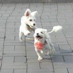 [NCT칠프] 쩡<b>우랑</b> 용이