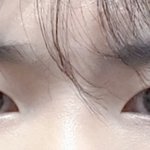 [19] 쌍수 추반해주세요..