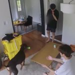 [군대] 전밤이 <b>아빠</b>바라기 모먼트 너무 귀엽다