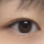 쌍수 추반좀