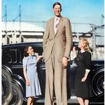 기네스북 기록상 세계 최장신 인간