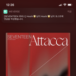 [세븐틴] 아 <b>짜릿</b>해 스바