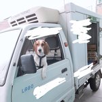 우리동네 마트 마스코트 <b>망치</b>