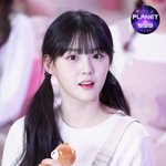 [모두드루와] 케플러 지금 진짜 행복하겠다