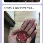 [엔하이픈] 안녕 타팬인데