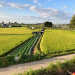 서울에서 떠나는 시골길 산책기2 (<b>feat</b>.시골강아지)