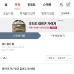 ㅈㄴ 한심하다 사고판 <b>버러지</b>야