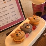 [스키즈] 민호네 순둥도리 <b>마카롱</b> 보고가세용복