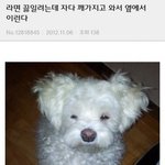 [댓글부탁해] 다음주부터 걍 <b>숏패딩</b> 입거 학교갈까