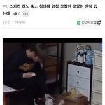 스키즈 <b>리노</b> 숙소에서 고양이 키우는 행위