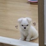 [댓글부탁해] <b>지리산</b> 본 애들 있냐???