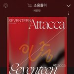 [세븐틴] 우리 음총팀 확실히