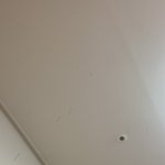 [드루와] 얘들아 나 재능을 찾은듯