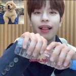 [스키즈] 어<b>제자</b> 멍자님