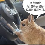 [댓글부탁해] 잇<b>팁들</b>아