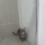 [드루와] <b>멍</b><b>충</b>한 울고앵 보고갈판녀