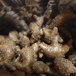 [드루와] 바다 <b>오염</b>이 심각하긴 하나 보다