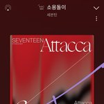 [세븐틴] 나 학생럿인데..너무 미안함