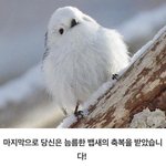[댓글부탁해] 잇프피 질문받음!!