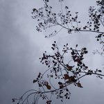 [19] 야하게 생겼다