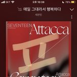 [세븐틴] ㅅㄷ) 우리반 분위기 너무 좋음