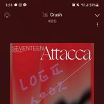 [세븐틴] <b>캐럿</b>들아