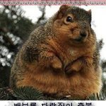 수시합격 행운의문자가 글케 ㅈ같음??