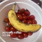 [댓글부탁해] 아침<b>점심</b>겸 1끼인데 많은거야?