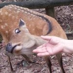 [19] <b>키스</b>해본애들아 나 질문있다고