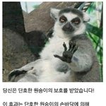 나만 추천 구걸하는 댓글하고 글 꼴보기 싫냐