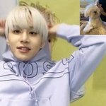 [NCT칠프] 김정우 진짜 <b>고대</b>로야