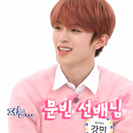 꾸준히 <b>강민</b> 최애로 뽑히는 남돌