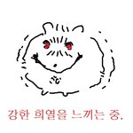 [19] 남동생 이거 어떻게 해야함? 개빡쳐 진짜