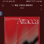 [세븐틴] 우리 이정도로 <b>송장</b>도 안찍히건 처음 아냐?