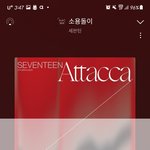 [세븐틴] 근데이번에 진짜 공구 많이 안탔구나ㅠ