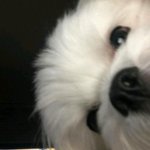 교정한 친구가 먹을 수 있는 <b>간식</b>? 뭐가있을까